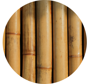 BambooTexture_300x287